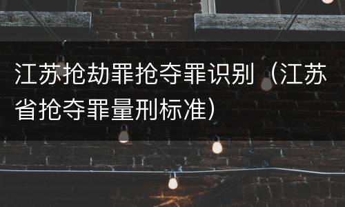 江苏抢劫罪抢夺罪识别（江苏省抢夺罪量刑标准）