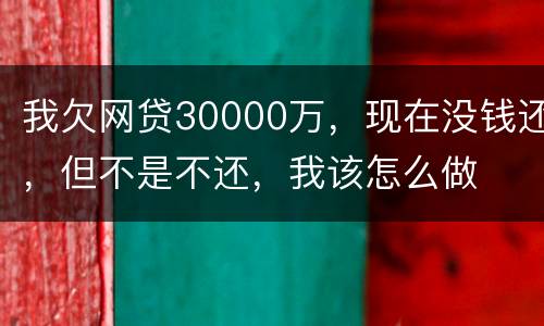 我欠网贷30000万，现在没钱还，但不是不还，我该怎么做