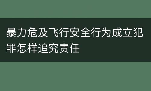 暴力危及飞行安全行为成立犯罪怎样追究责任