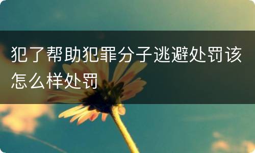 犯了帮助犯罪分子逃避处罚该怎么样处罚