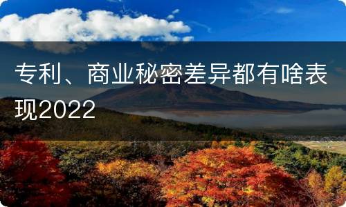 专利、商业秘密差异都有啥表现2022