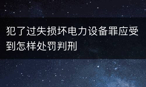 犯了过失损坏电力设备罪应受到怎样处罚判刑