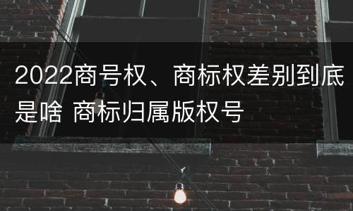 2022商号权、商标权差别到底是啥 商标归属版权号