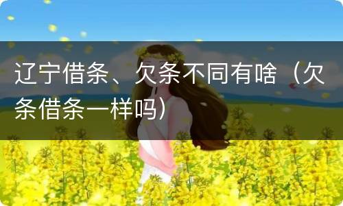 辽宁借条、欠条不同有啥（欠条借条一样吗）