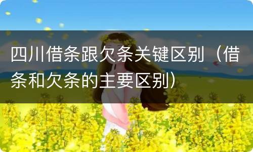 四川借条跟欠条关键区别（借条和欠条的主要区别）