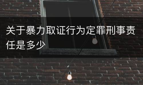 关于暴力取证行为定罪刑事责任是多少