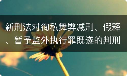 新刑法对徇私舞弊减刑、假释、暂予监外执行罪既遂的判刑标准