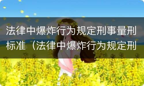 法律中爆炸行为规定刑事量刑标准（法律中爆炸行为规定刑事量刑标准是）