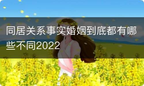 同居关系事实婚姻到底都有哪些不同2022