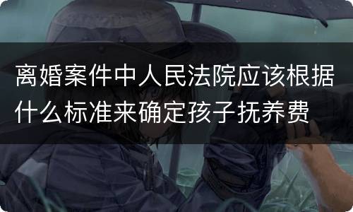 离婚案件中人民法院应该根据什么标准来确定孩子抚养费