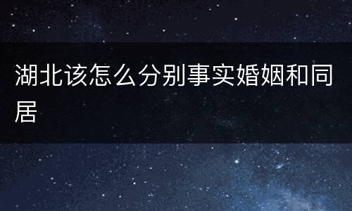 湖北该怎么分别事实婚姻和同居