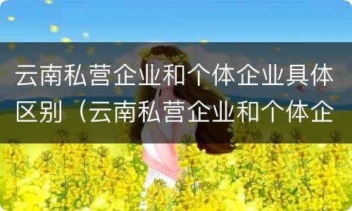 云南私营企业和个体企业具体区别（云南私营企业和个体企业具体区别是什么）