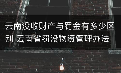 云南没收财产与罚金有多少区别 云南省罚没物资管理办法