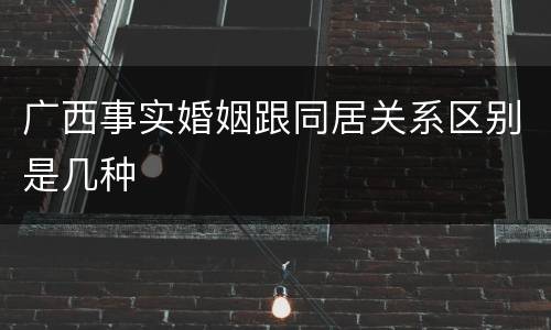 广西事实婚姻跟同居关系区别是几种
