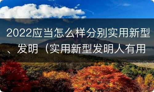 2022应当怎么样分别实用新型、发明（实用新型发明人有用吗）