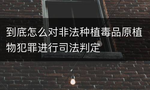 到底怎么对非法种植毒品原植物犯罪进行司法判定