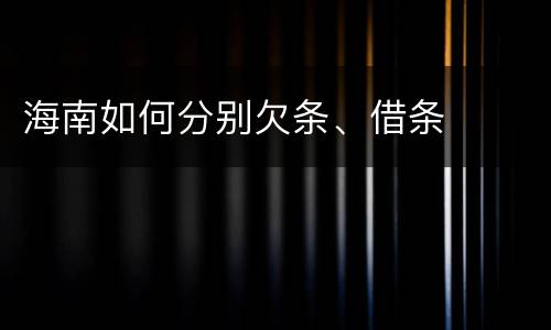 海南如何分别欠条、借条