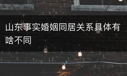 山东事实婚姻同居关系具体有啥不同