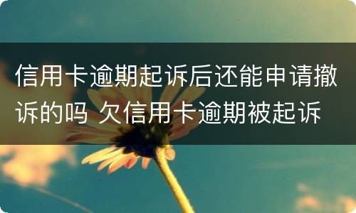 信用卡逾期起诉后还能申请撤诉的吗 欠信用卡逾期被起诉
