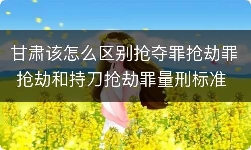 甘肃该怎么区别抢夺罪抢劫罪 抢劫和持刀抢劫罪量刑标准