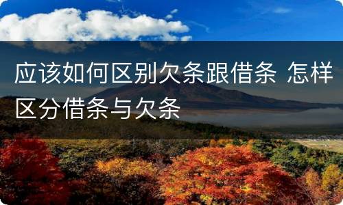 应该如何区别欠条跟借条 怎样区分借条与欠条