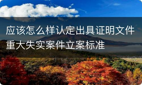 应该怎么样认定出具证明文件重大失实案件立案标准