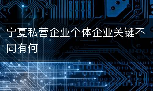 宁夏私营企业个体企业关键不同有何
