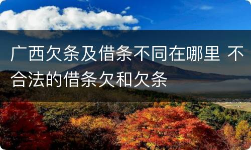 广西欠条及借条不同在哪里 不合法的借条欠和欠条