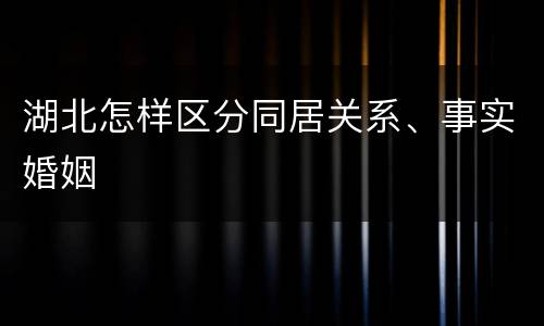 湖北怎样区分同居关系、事实婚姻