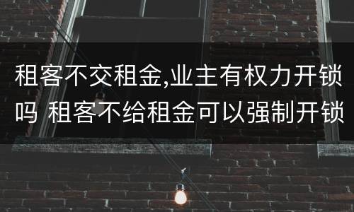 租客不交租金,业主有权力开锁吗 租客不给租金可以强制开锁