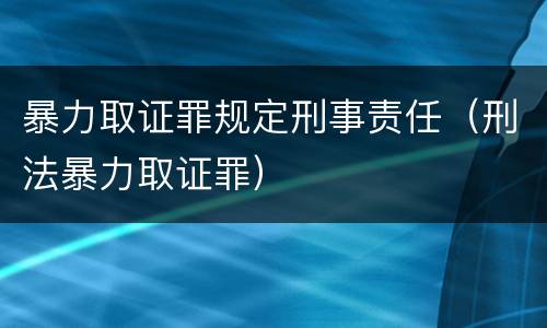暴力取证罪规定刑事责任（刑法暴力取证罪）