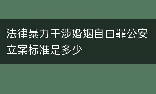 法律暴力干涉婚姻自由罪公安立案标准是多少
