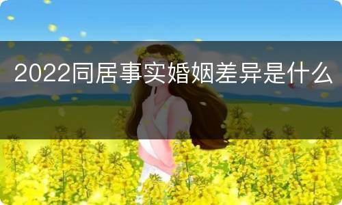 2022同居事实婚姻差异是什么