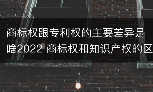 商标权跟专利权的主要差异是啥2022 商标权和知识产权的区别