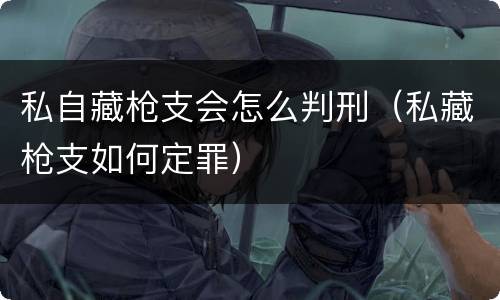 私自藏枪支会怎么判刑（私藏枪支如何定罪）