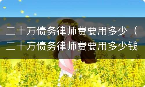 二十万债务律师费要用多少（二十万债务律师费要用多少钱）