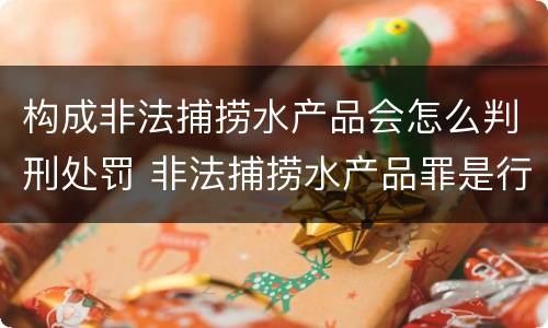 构成非法捕捞水产品会怎么判刑处罚 非法捕捞水产品罪是行为犯吗