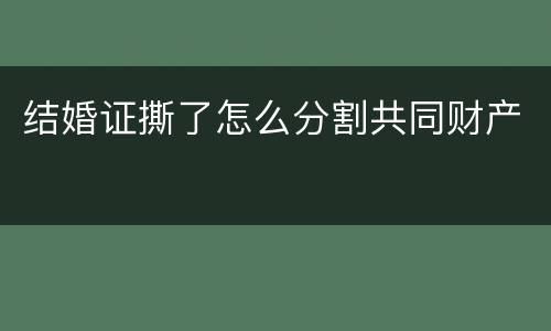 结婚证撕了怎么分割共同财产