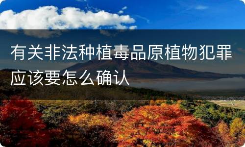 有关非法种植毒品原植物犯罪应该要怎么确认
