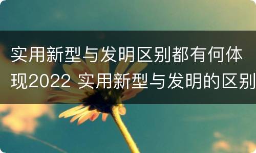 实用新型与发明区别都有何体现2022 实用新型与发明的区别是什么