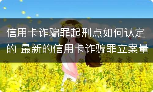 信用卡诈骗罪起刑点如何认定的 最新的信用卡诈骗罪立案量刑标准