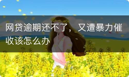 网贷逾期还不了，又遭暴力催收该怎么办