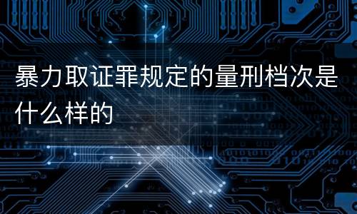 暴力取证罪规定的量刑档次是什么样的