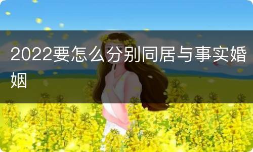 2022要怎么分别同居与事实婚姻