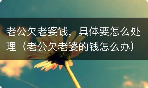 老公欠老婆钱，具体要怎么处理（老公欠老婆的钱怎么办）