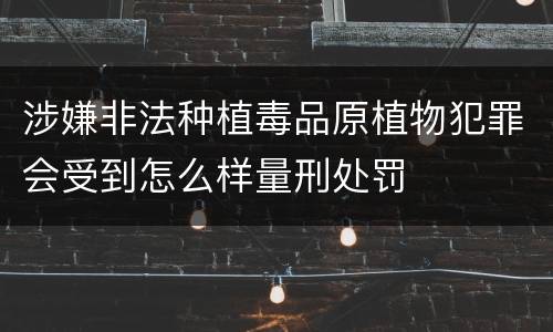 涉嫌非法种植毒品原植物犯罪会受到怎么样量刑处罚