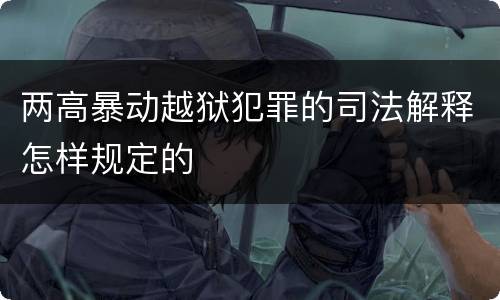 两高暴动越狱犯罪的司法解释怎样规定的