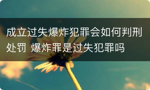 成立过失爆炸犯罪会如何判刑处罚 爆炸罪是过失犯罪吗