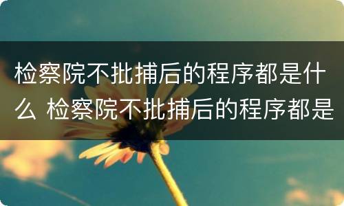 检察院不批捕后的程序都是什么 检察院不批捕后的程序都是什么情况