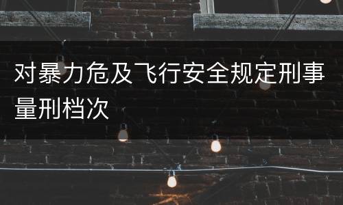 对暴力危及飞行安全规定刑事量刑档次